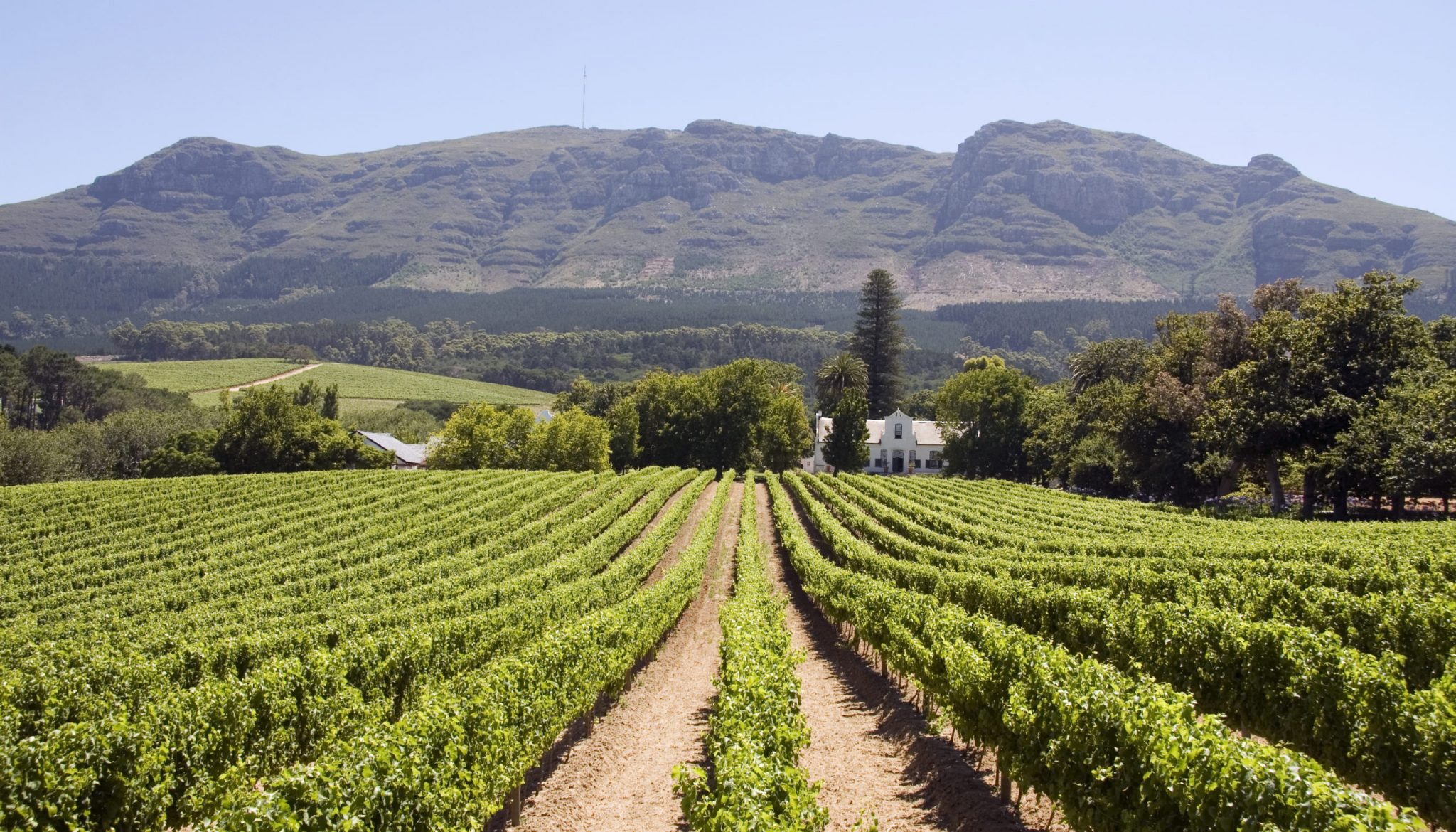 south africa wine tourism