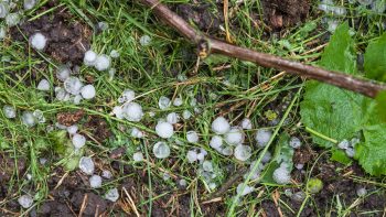 Penedès hit by massive hailstorm