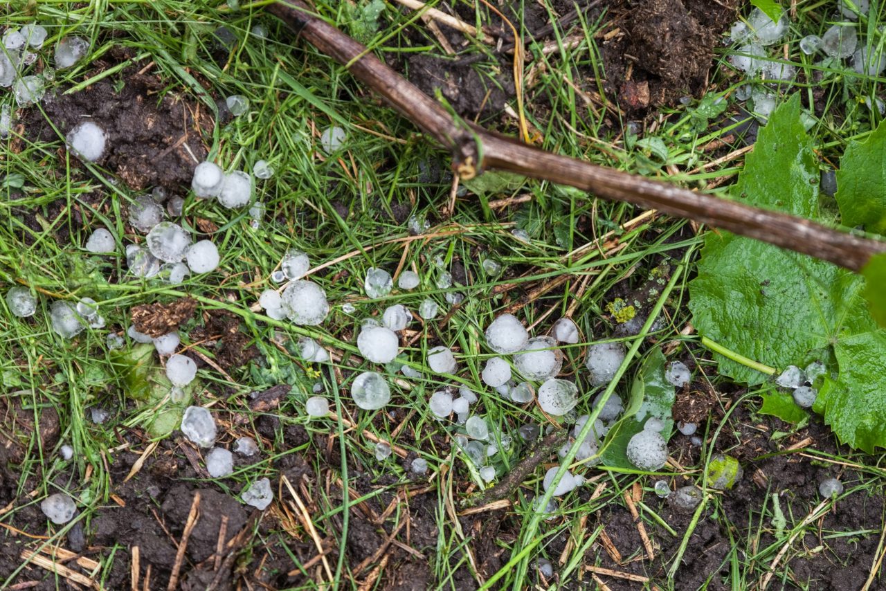 Penedès hit by massive hailstorm