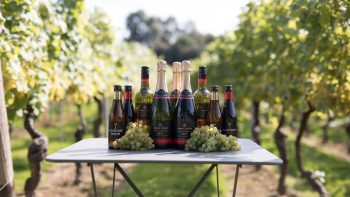 Treasury Wine Estates denies Chapel Down takeover bid
