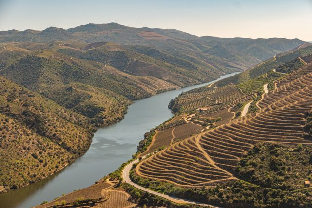 ドウロ川の両岸に広がるドウロ渓谷の段々畑：ポルトガルのドウロが2023年の欧州ワイン都市に選ばれる