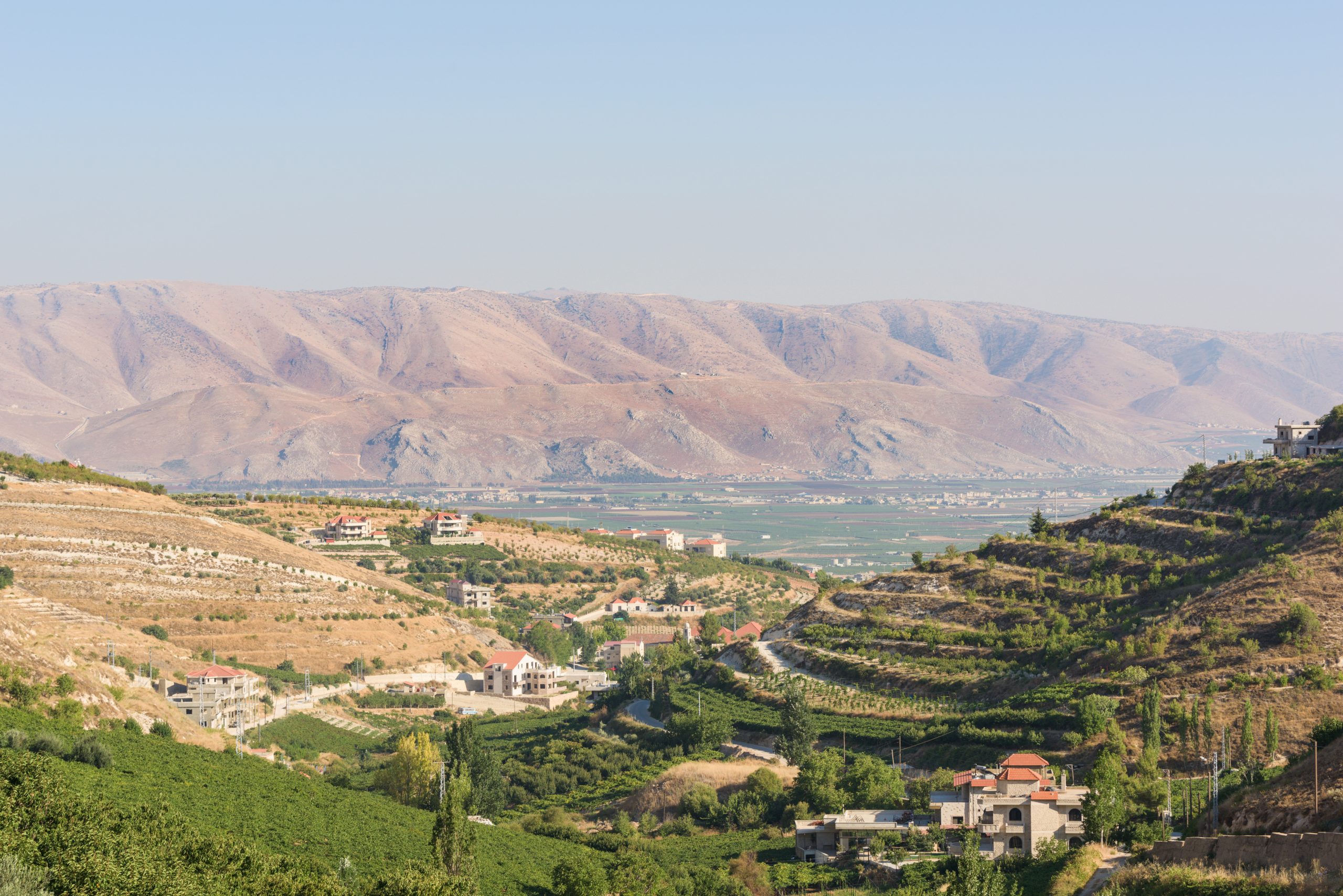 Lebanese wineries push for growth amidst crumbling economy