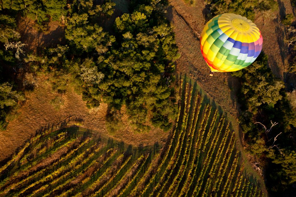 The Top 10 Wineries In California Are Revealed By Yelp   IStock 167118210 1024x683 