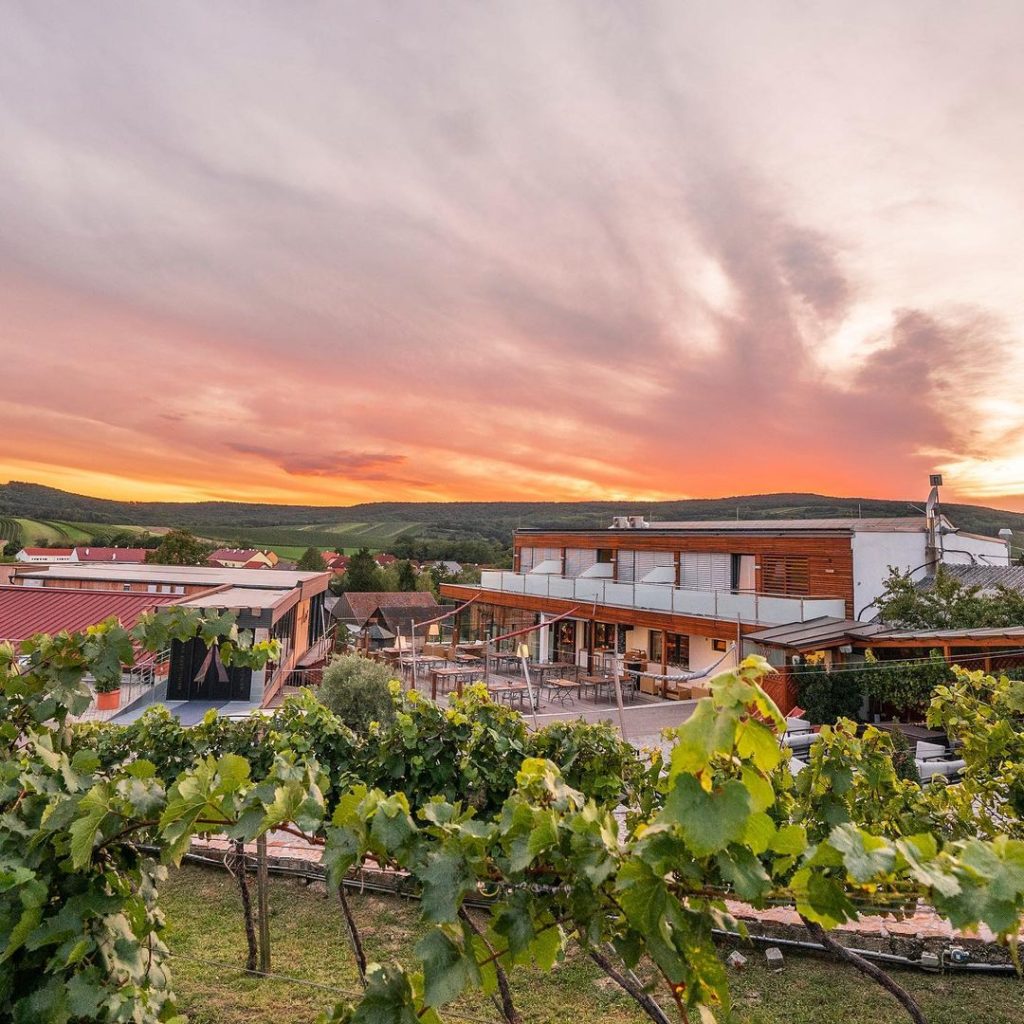 10-of-the-best-wine-stays-around-the-world