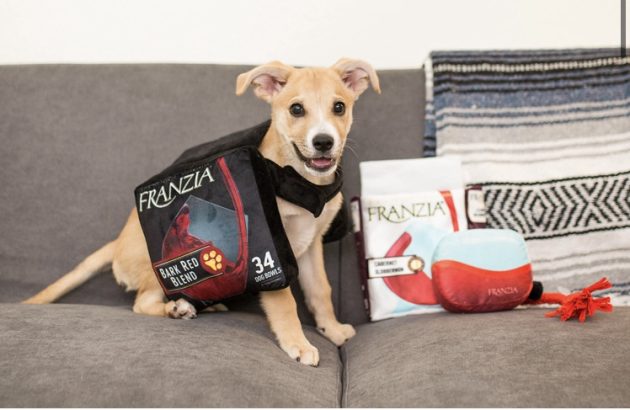 Franzia Wines launches boxed wine Halloween costume for dogs