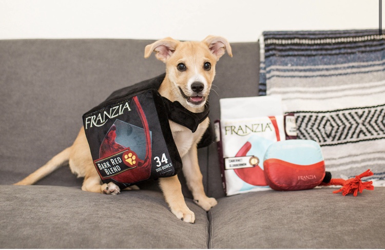 Franzia Wines Launches Boxed Wine Halloween Costume For Dogs