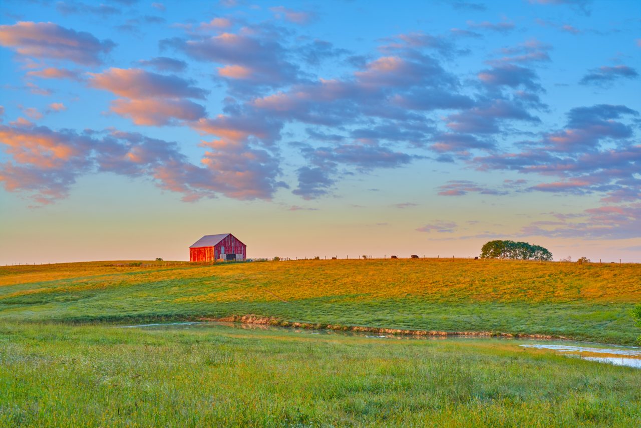 top-10-wine-producing-states-in-the-us