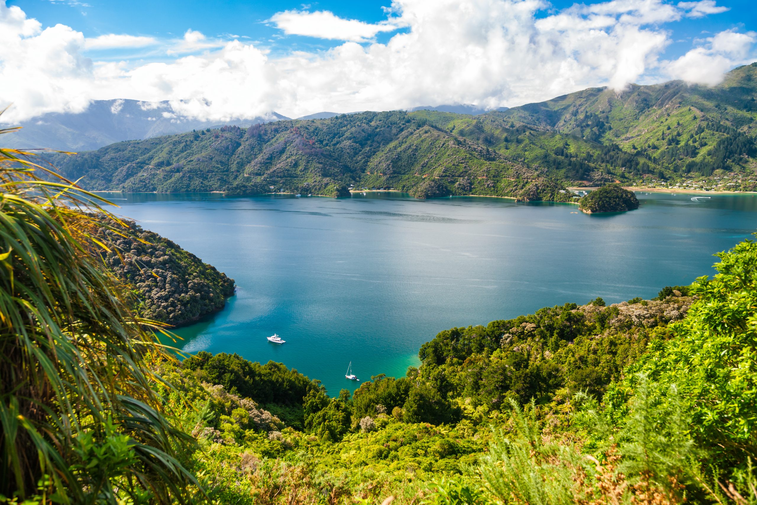 Мальборо Саундс. Мальборо новая Зеландия. Marlborough Sounds Марлборо. Регион Мальборо в новой Зеландии.