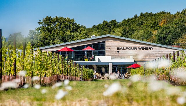 English wine producer Balfour to double production to one million bottles