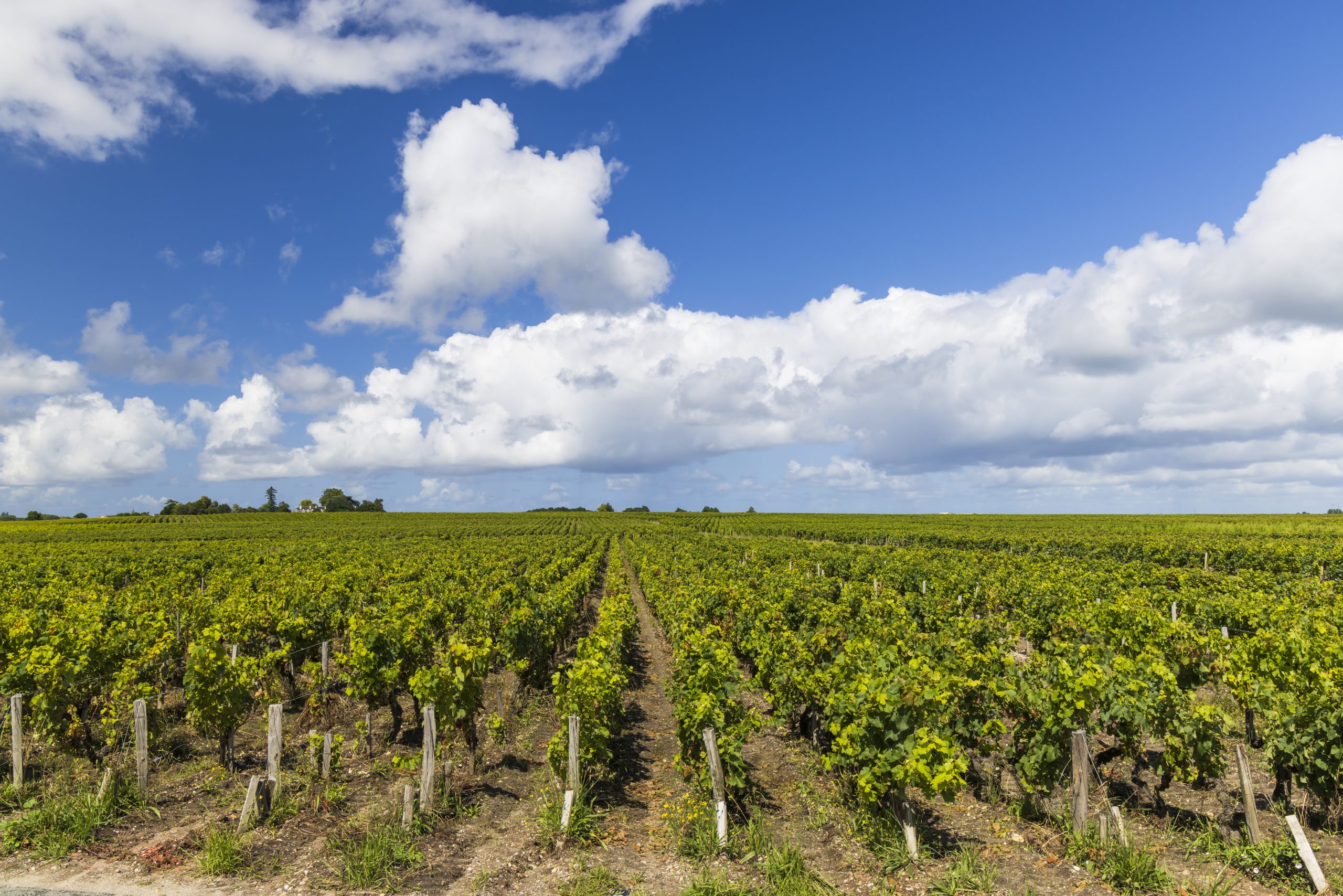 - Bordeaux The the appellations satellite 2022 right-bank primeur: en Business Drinks