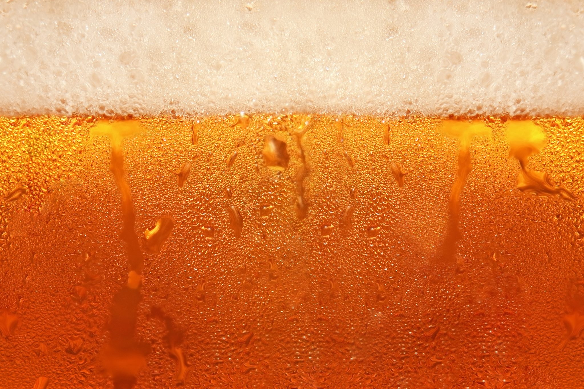 non-alcoholic-beer-breeding-ground-for-bacteria