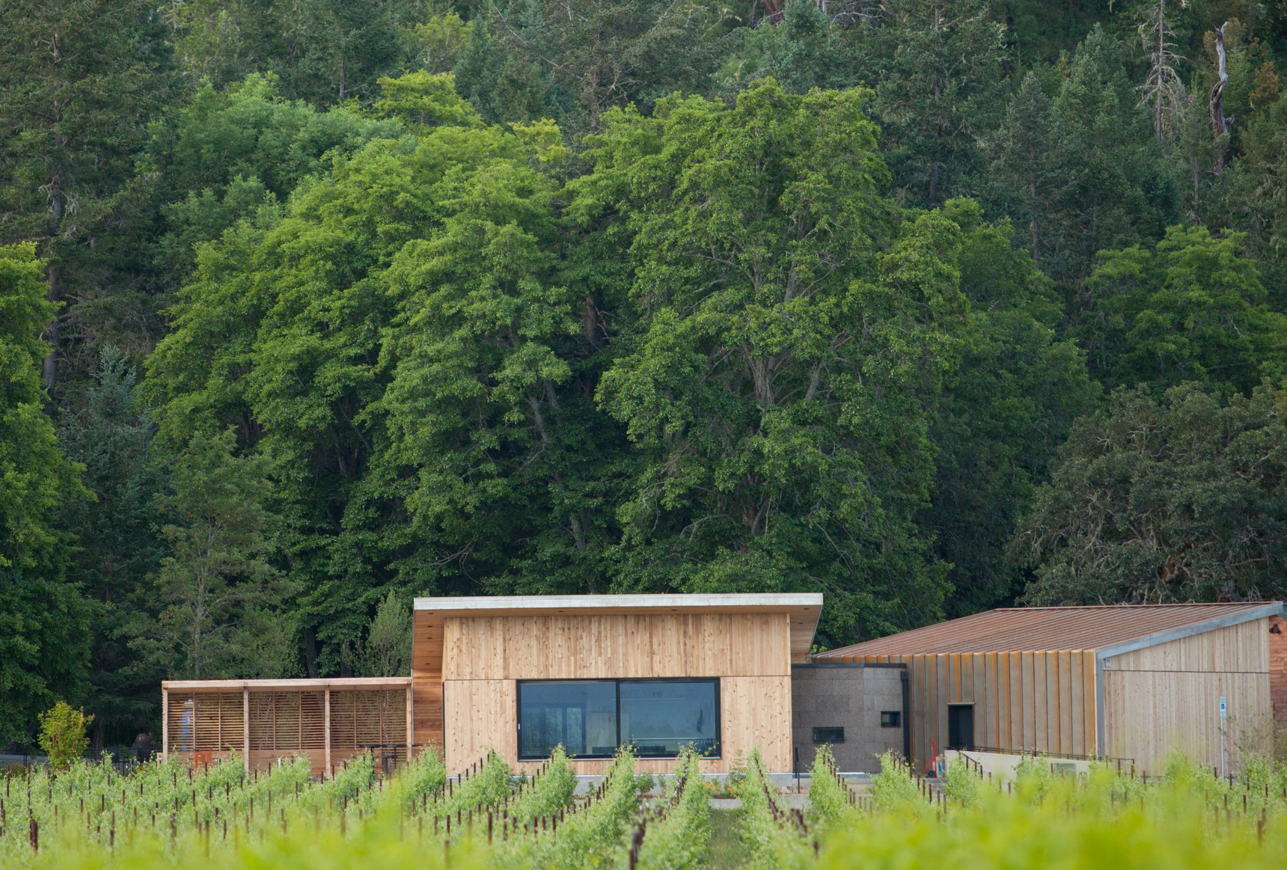 The wineries drastically reducing the industry's carbon footprint