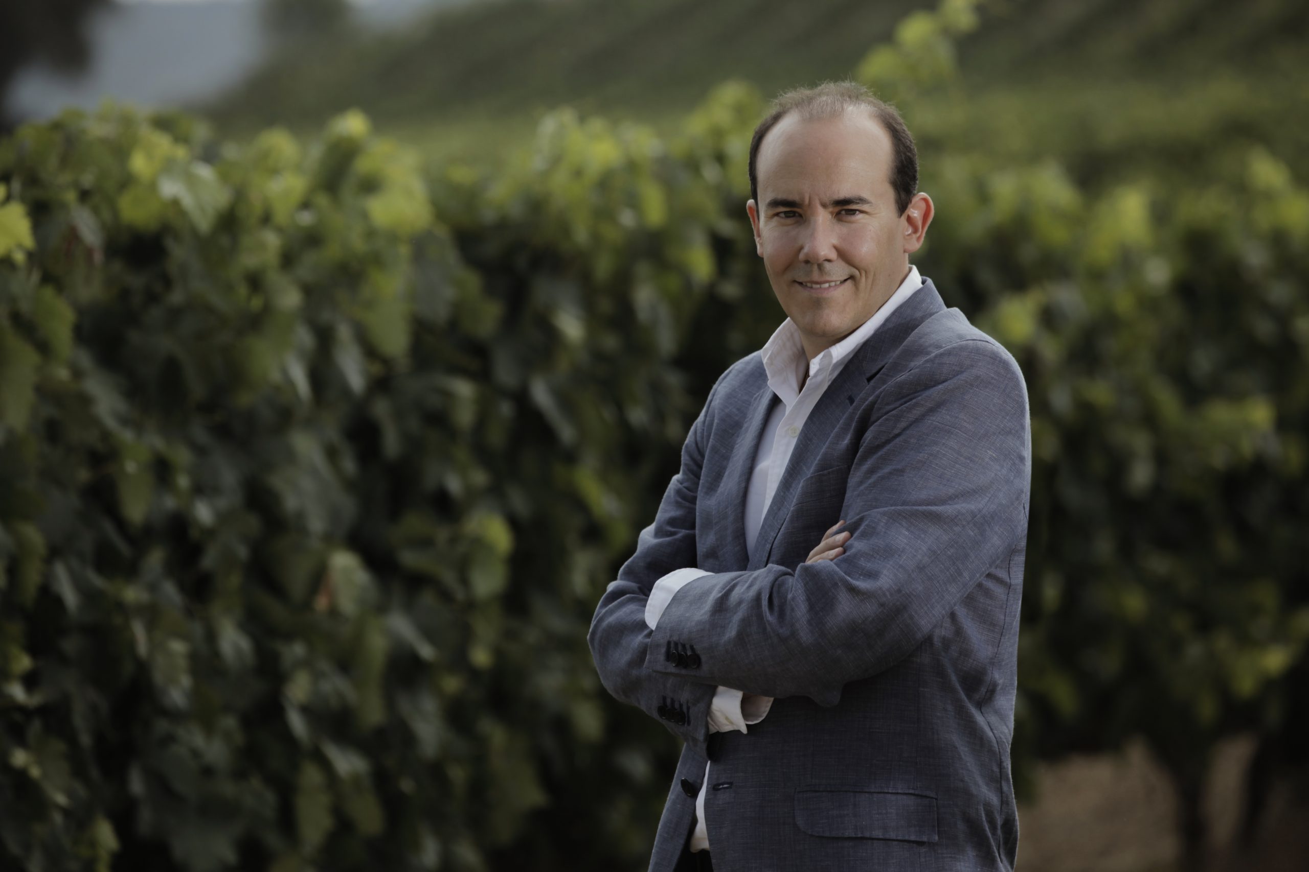 Bodegas Riojanas president explores 