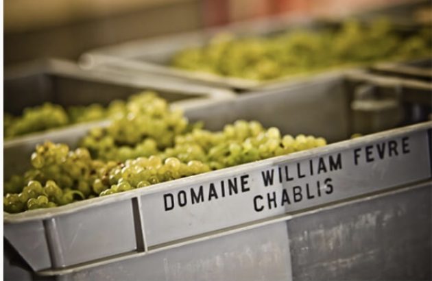 Chablis Archives - The Drinks Business