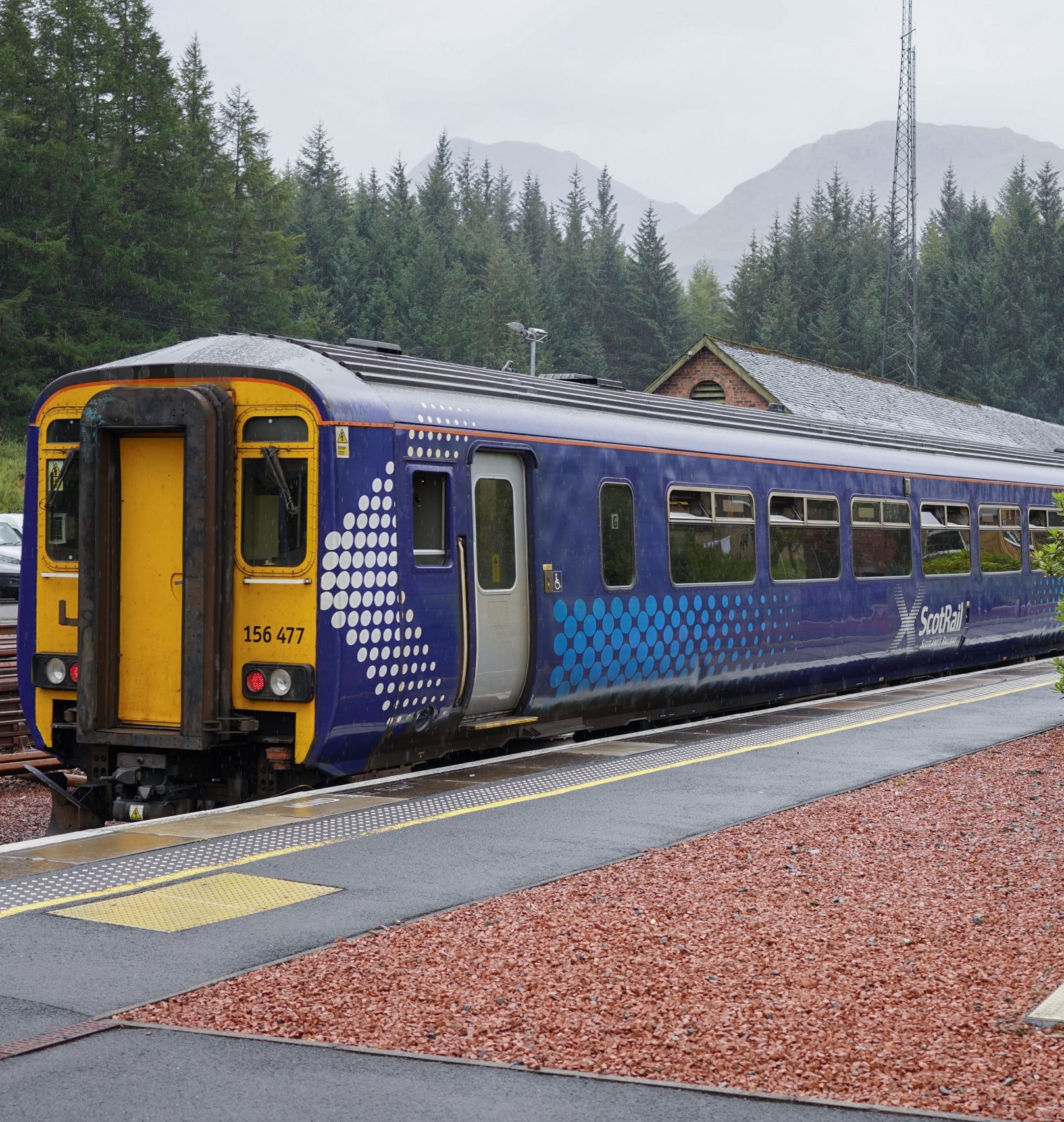 are you allowed to take dogs on scotrail trains