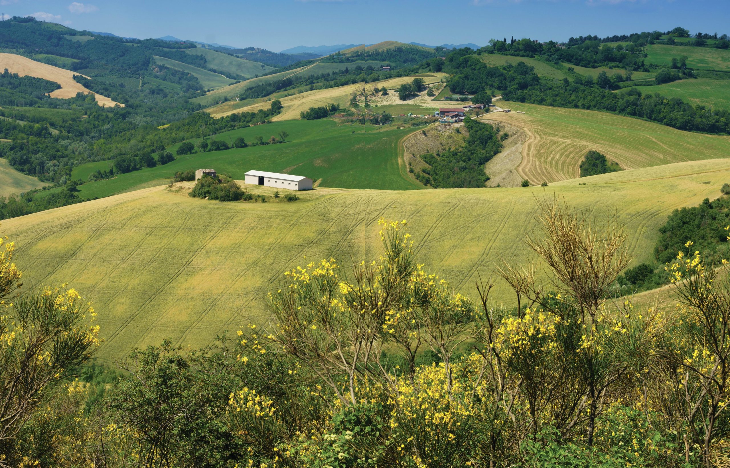 why-this-corner-of-romagna-should-be-on-your-hot-list