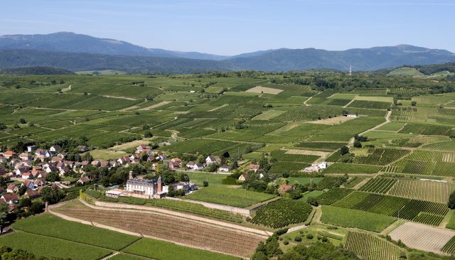 Vorbourg added to AOC Alsace Grand Cru appellation for Pinot Noir