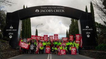 Pernod Ricard workers in Barossa secure wage deal