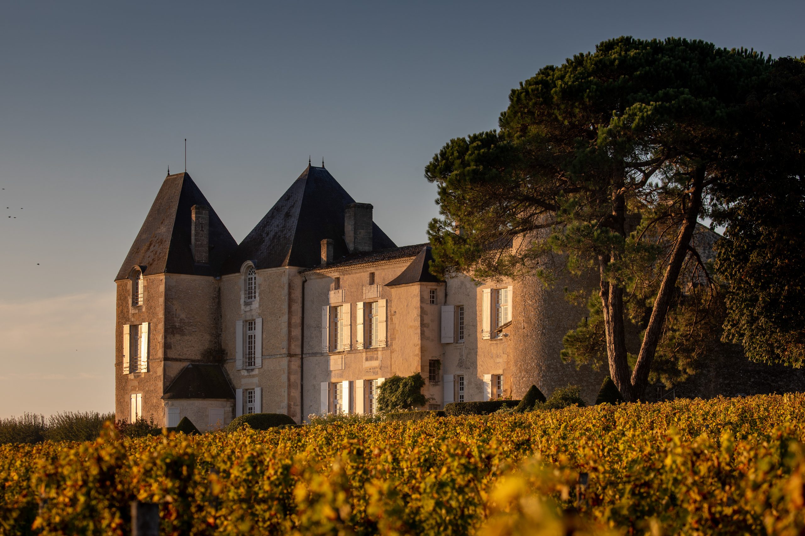 Golden wonder: is the star of Sauternes losing its lustre?