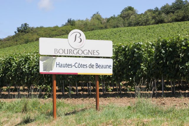 Burgundy appellation signs are up for auction