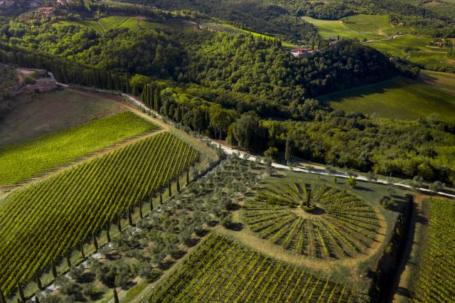 Alejandro Bulgheroni Family Vineyards builds APAC presence