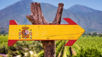 Spanish producer joins boycott to push for Valdepeñas DO regulatory body