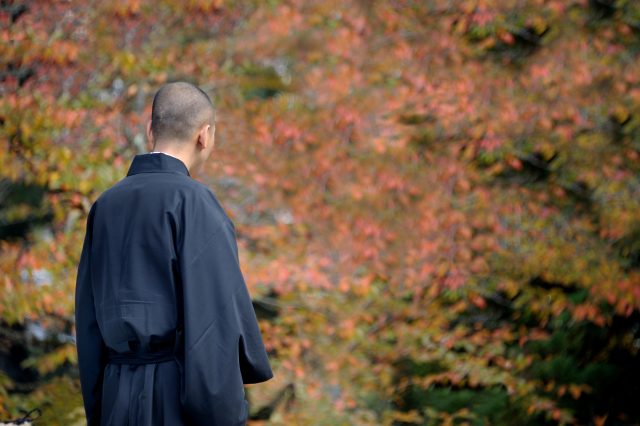 Sake brewery teams up with temple to recreate 450-year-old recipe