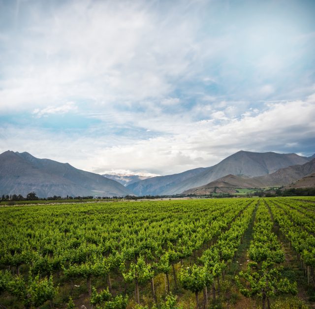 Land of Plenty: a look at Félix Solís Avantis in Chile