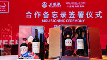 Viña Concha y Toro signs deal with China’s Wuliangye baijiu