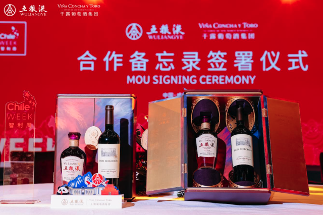 Viña Concha y Toro signs deal with China's Wuliangye baijiu