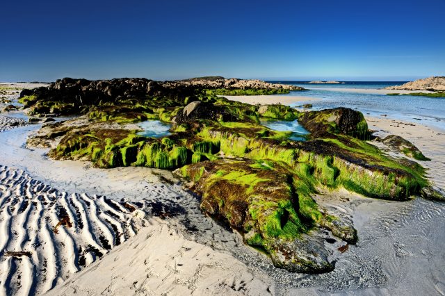 Scotch distillery brings whisky making back to Isle of Tiree