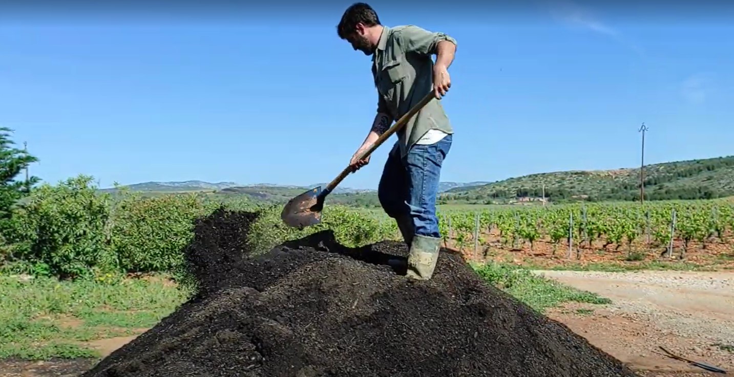 Innovation in organic practices: a sustainable future for vineyards