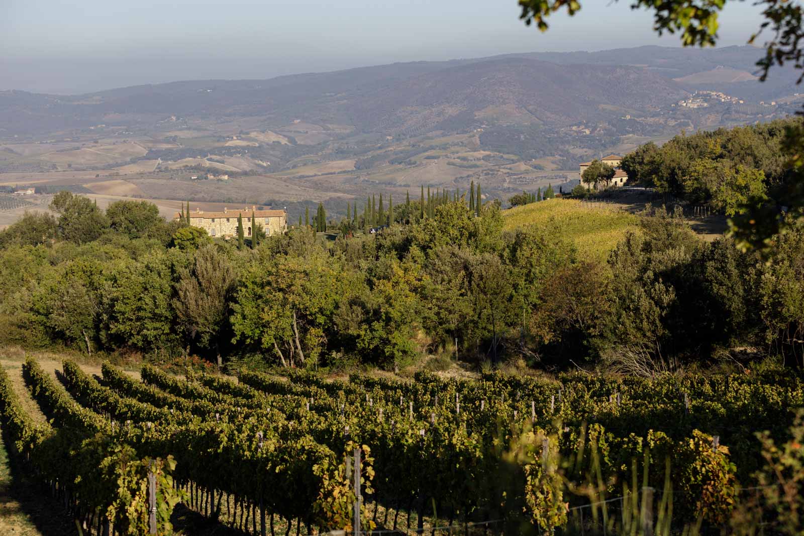 Montecucco consorzio celebrates 25 years