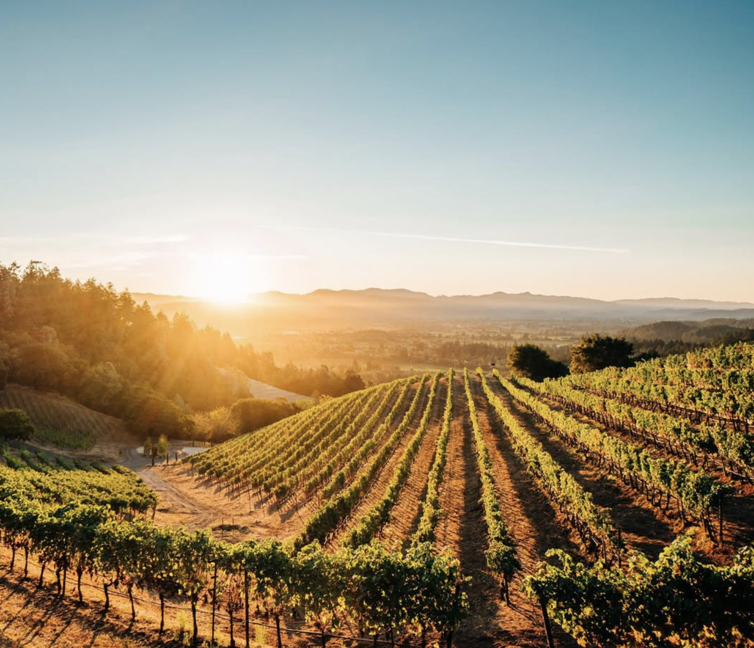 LVMH-owned Napa Valley producer closes