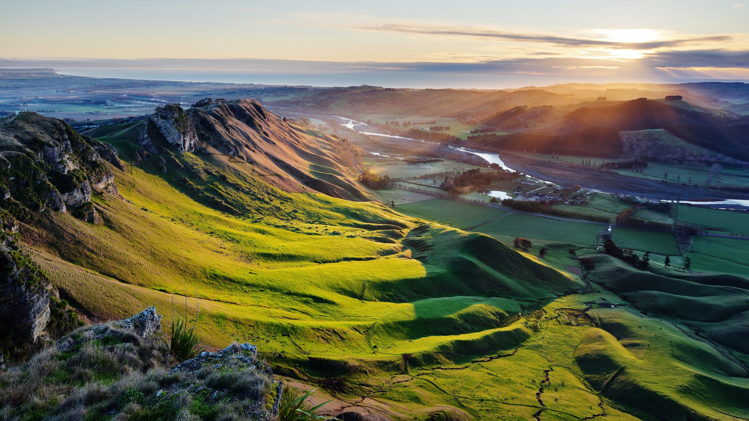 Hawke’s Bay rebounds with ‘exceptional vintage’ after cyclone