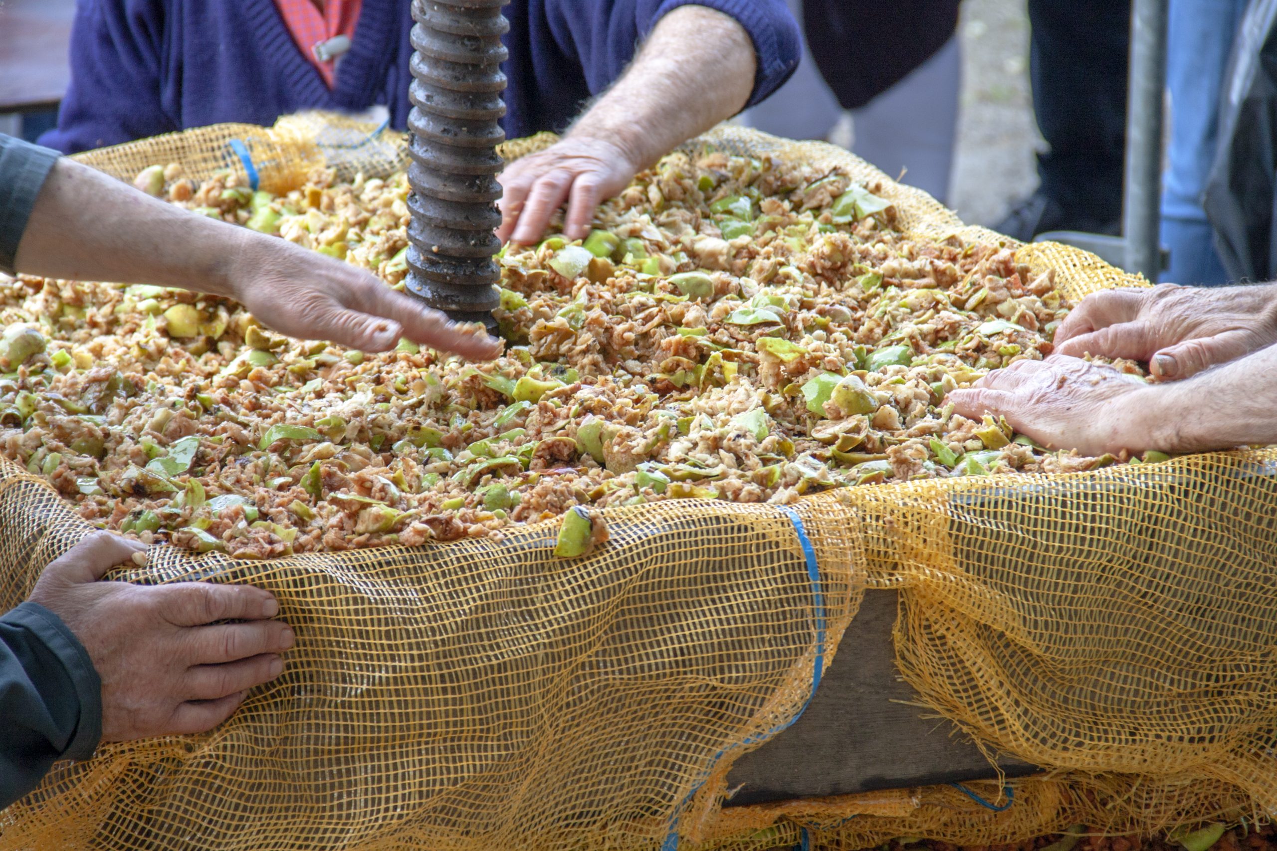 Craft cider bursary brought back to boost progress in the sector