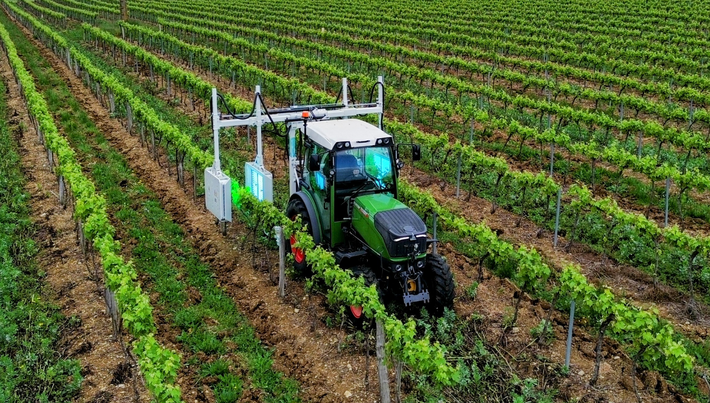 First UK vineyard adopts UV-C technology to boost vine health