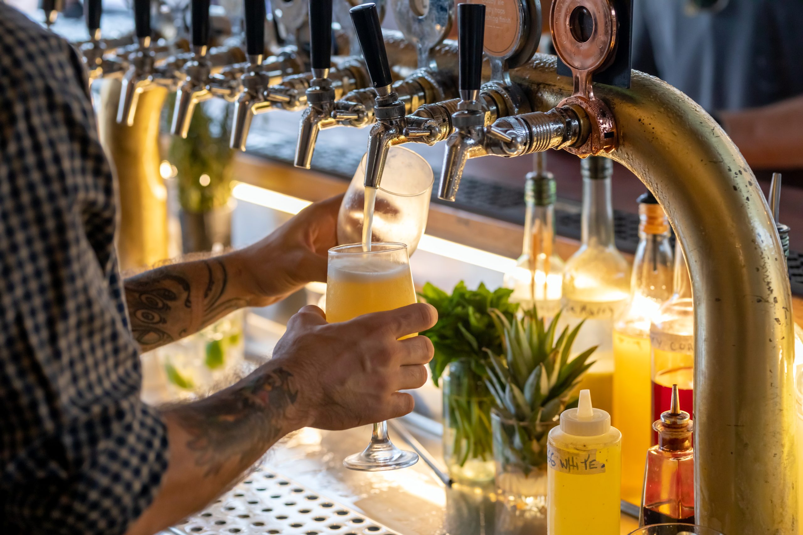 Australia freezes draught beer tax hike in bid to support pubs and breweries